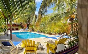 Oasis Guesthouse, Boutique Style Hotel